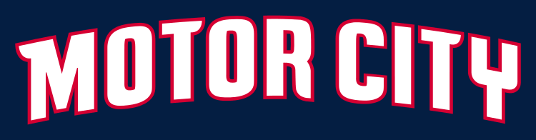 Detroit Pistons 2013-Pres Wordmark Logo iron on transfers for fabric